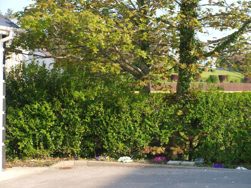 The River House Dungloe Exterior photo