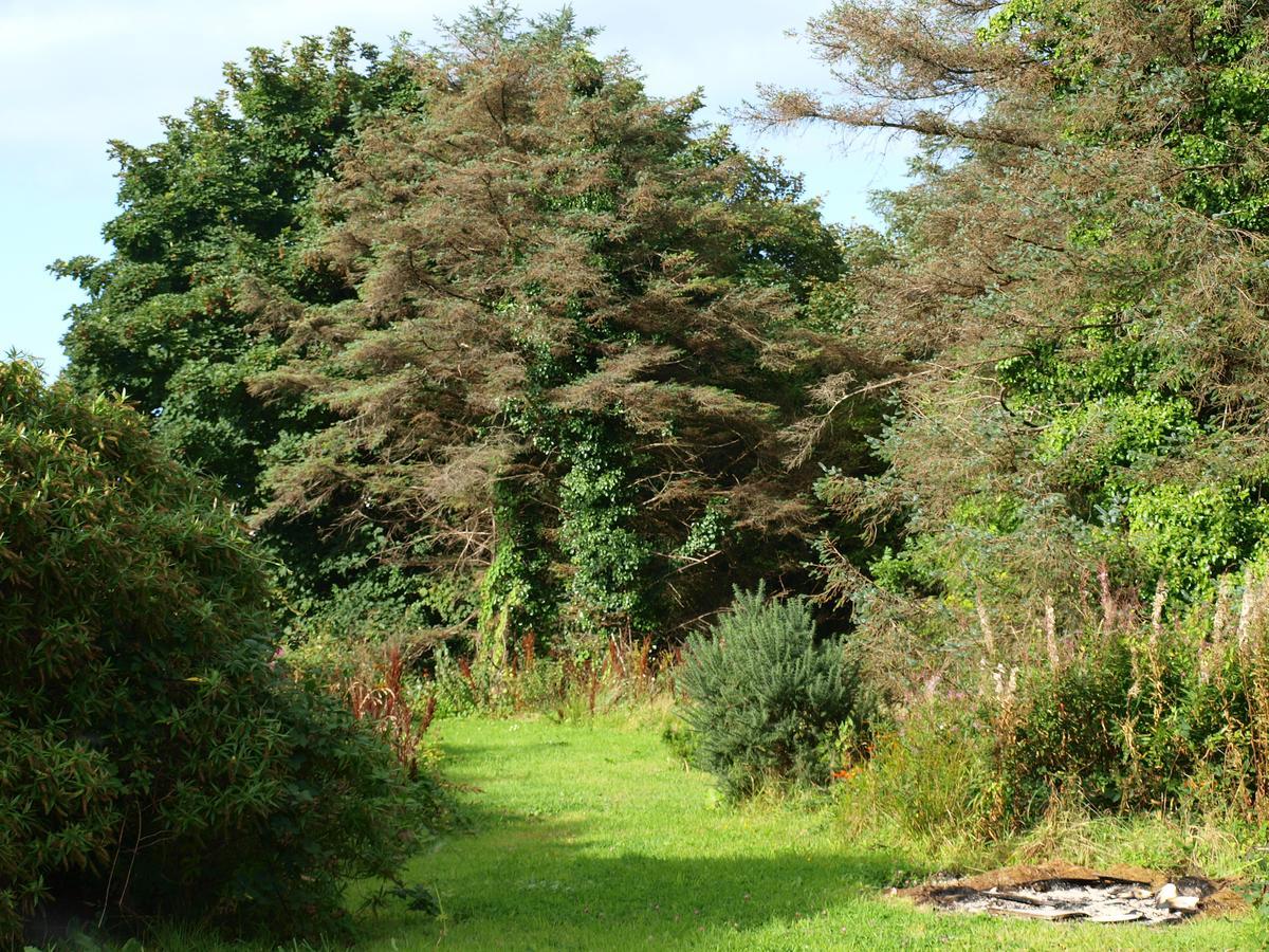 The River House Dungloe Exterior photo